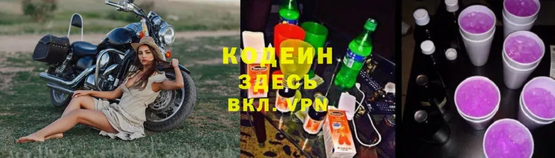 Кодеиновый сироп Lean Purple Drank  ссылка на мегу вход  Петропавловск-Камчатский 