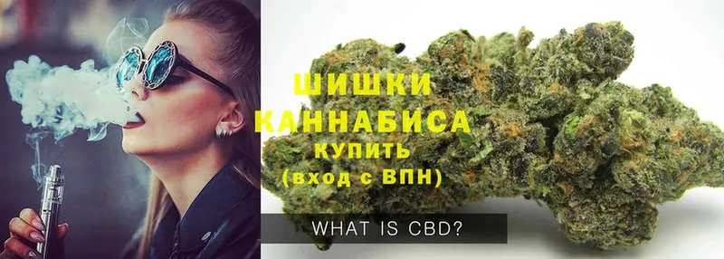 ссылка на мегу ссылка  маркетплейс состав  МАРИХУАНА THC 21%  Петропавловск-Камчатский 